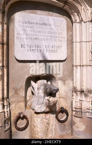 Frankreich, Pyrenäen Atlantiques, Bearn, Salies de Bearn, der Brunnen des Wildschweins, Wahrzeichen der Stadt, Monument errichtet 1927 auf dem Platz Bayaa Stockfoto
