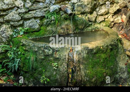 Frankreich, Var, regionaler Naturpark Sainte Baume, Massif de la Sainte Baume, Quelle von Saint Zacharie // Frankreich, Var (83), Parc naturel régional de la Stockfoto