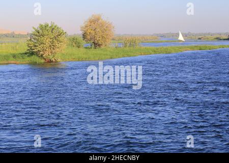 Ägypten, Oberägypten, Niltal, Umgebung von Edfu, Felucca am Ufer des Nils Stockfoto