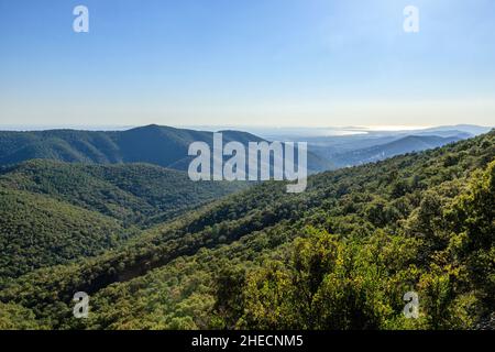 Frankreich, Var, Massif des Maures, La Londe les Maures, das Waldmassiv und das Mittelmeer abseits des Babaou-Passes // Frankreich, Var (83), Massif Stockfoto