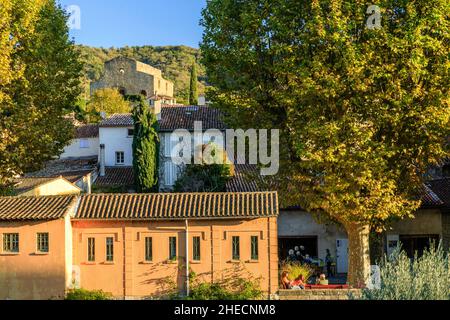 Frankreich, Var, Massif des Maures, Collobrieres, das Dorf überragt von den Ruinen der alten Kirche Saint-Pons // Frankreich, Var (83), Massif des Maures, Stockfoto