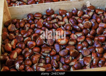Frankreich, Var, Massif des Maures, Collobrieres, Kastanienkiste während des Fetes de la Chataigne (Kastanienfest) an den letzten drei Sonntagen im Oktober Stockfoto
