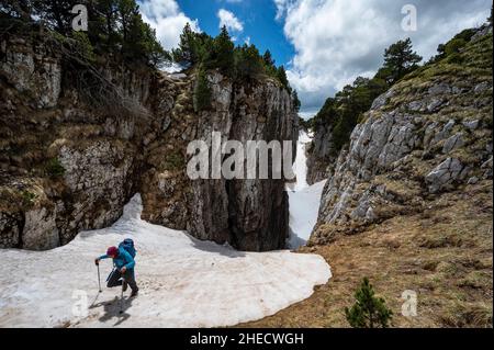 Frankreich, Ain, Massiv du Jura, regionaler Naturpark, Wanderung auf dem Gipfel des Reculet wandert ein Wanderer auf Schneeplatten, die zu Beginn der Sommersaison noch in den steilen Tälern des Crt de la Neige zu finden sind Stockfoto