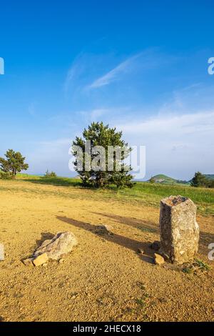 Frankreich, Lozere, Les Bondons, archäologische Stätte von Cham des Bondons, Kalksteinplateau mit mehr als 150 Granitmenhiren Stockfoto