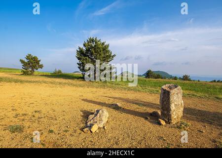 Frankreich, Lozere, Les Bondons, archäologische Stätte von Cham des Bondons, Kalksteinplateau mit mehr als 150 Granitmenhiren Stockfoto