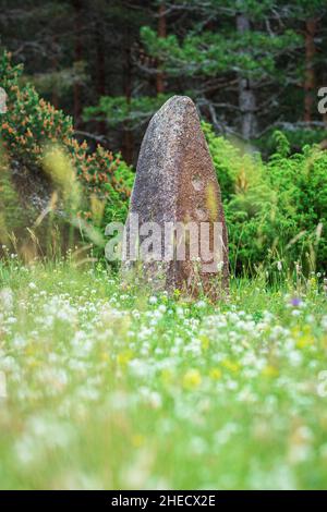 Frankreich, Lozere, Les Bondons, archäologische Stätte von Cham des Bondons, Kalksteinplateau mit mehr als 150 Granitmenhiren Stockfoto