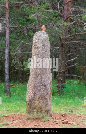 Frankreich, Lozere, Les Bondons, archäologische Stätte von Cham des Bondons, Kalksteinplateau mit mehr als 150 Granitmenhiren Stockfoto