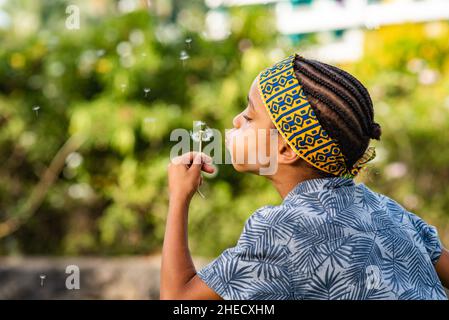 Niedliches afroamerikanisches Kind, das in der Natur den Dandelion bläst Stockfoto