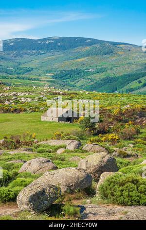 Frankreich, Lozere, Umgebung von Pont de Montvert - Sud Mont Lozere, Landschaft entlang des Stevenson Trails oder GR 70 Stockfoto