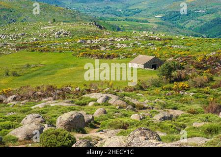 Frankreich, Lozere, Umgebung von Pont de Montvert - Sud Mont Lozere, Landschaft entlang des Stevenson Trails oder GR 70 Stockfoto