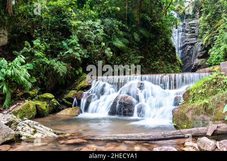 Rio Tigre Wasserfall im Dschungel von Oxapampa in Peru Stockfoto
