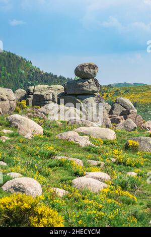 Frankreich, Lozere, Pont de Montvert - Sud Mont Loz?re, Umgebung des Skigebiets Le Bleymard-Mont Lozere am Fuße des Mont Lozere Stockfoto