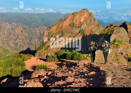 Portugal, Insel Madeira, Wanderer auf der Vereda do Areeiro Wanderung zwischen Pico Ruivo (1862m) und Pico Arieiro (1817m), Blick vom Pico Arieiro über die zentrale Bergkette Stockfoto