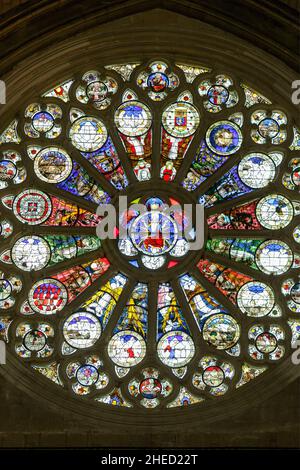 Frankreich, Maine et Loire, Loire-Tal, das von der UNESCO zum Weltkulturerbe erklärt wurde, Angers, Kathedrale Saint Maurice im gotischen Stil von Plantagenet, das nördliche Rosenfenster (1451-1454) von Andre Robin zum Thema des Gerichts Stockfoto