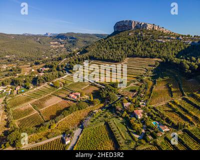 Frankreich, Bouches du Rhone, Cassis, die Rebstöcke im Herbst (Luftaufnahme) Stockfoto