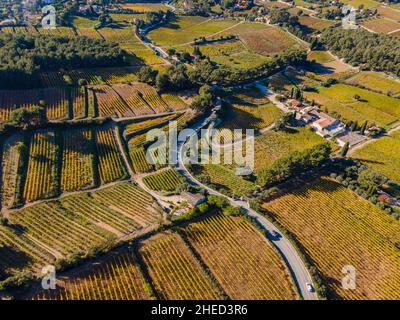 Frankreich, Bouches du Rhone, Cassis, die Rebstöcke im Herbst (Luftaufnahme) Stockfoto