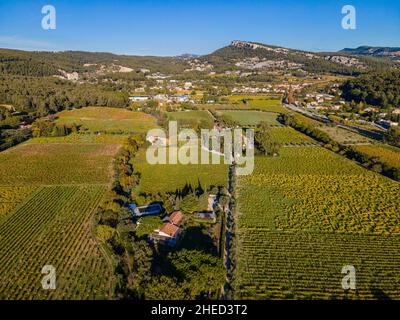 Frankreich, Bouches du Rhone, Cassis, die Rebstöcke im Herbst (Luftaufnahme) Stockfoto