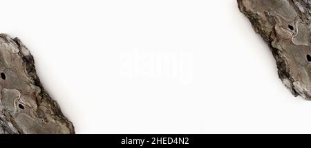 Weißer Rahmen aus Baumrinde. Leerer Raum für Text. Holzstruktur. Der Blick von oben. Stockfoto