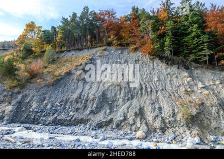 Frankreich, Hautes Alpes, Crots, Boscodon State Wald im Herbst, der Strom von Boscodon und Raving // Frankreich, Hautes-Alpes (05), Crots, forêt domaniale Stockfoto