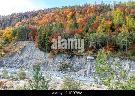 Frankreich, Hautes Alpes, Crots, Boscodon State Wald im Herbst, der Strom von Boscodon und Raving // Frankreich, Hautes-Alpes (05), Crots, forêt domaniale Stockfoto