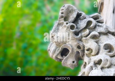 Steinlöwe in der Nähe des Eingangs zum Schloss Smolenice im Sommer in der Nähe der Stadt Smolenice, Slowakei. Grüner Hintergrund Stockfoto