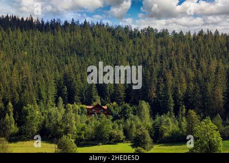 Holzhäuser in den Bergen inmitten des Waldes, am Hang, Wolken und blauer Himmel. Karpaten Stockfoto