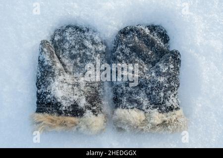 Schneebedeckte Retro-Fäustlinge, Wildleder mit natürlichem Fell auf dem Schnee, an einem frostigen Wintertag. Draufsicht. Stockfoto