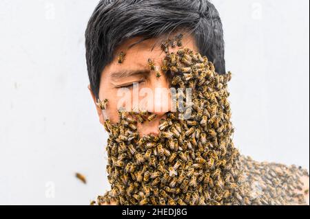 Das Gesicht des Menschen ist von Bienen bedeckt Stockfoto