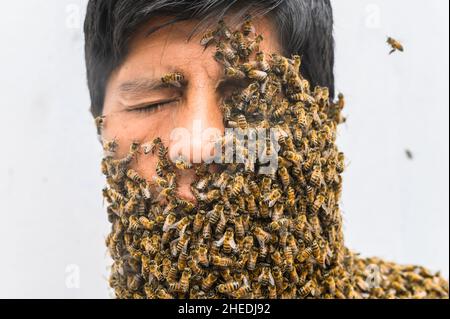 Das Gesicht des Menschen ist von Bienen bedeckt Stockfoto