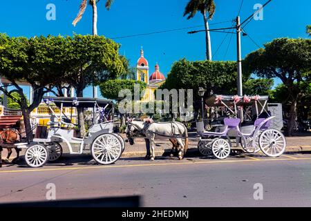 Kutschenfahrt im kolonialen Granada, Nicaragua Stockfoto