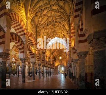 Cordoba, Provinz Cordoba, Andalusien, Südspanien. Das Innere der Moschee zeigt eine Mischung aus islamischer und christlicher Architektur. La Mezquita. Stockfoto