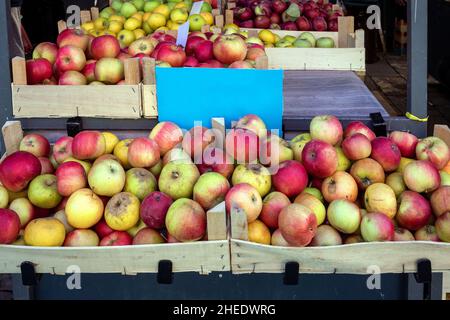 Frische rohe Bio-Äpfel in Kisten, die auf dem Bauernmarkt im Freien verkauft werden Stockfoto