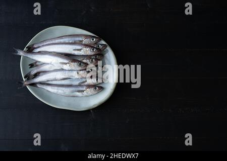 Frischer blauer Wittling auf Teller auf schwarzem Holzhintergrund. Frischer Fisch. Speicherplatz kopieren. Draufsicht. Stockfoto