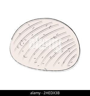 Runder, weicher, hausgemachter Hüttenkäse. Einfaches Symbol mit Lebensmitteln für Menü, Broschüre, Website, Werbung. Handzeichnung, Doodle, flach. Linear Stock Vektor