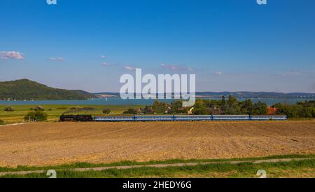 Ungarische Dampfmaschine MÁV 424 mit einem nostalgischen Zug auf dem Weg nach Balatonfüred von Tapolca und Balaton und Tihany ist im Hintergrund. Stockfoto