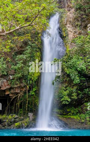 Catarata La Cangreja - Versteckte Wasserfall umgeben von grünen Bäumen, Vegetation, Felsen, Blättern, die auf grünem und klarem Wasser schwimmen, Rincon de la Vieja Nat Stockfoto