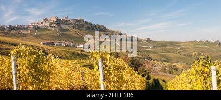 Eine goldene Weinlandschaft unterhalb der Stadt La Morra im Weinanbaugebiet lange der Region Piemonte in Italien Stockfoto