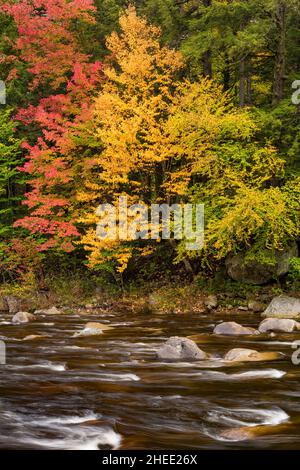 East Branch Sahandaga River im Herbst, Adirondack Park, Hamilton County, New York Stockfoto