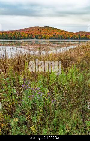 Herbst am Lake Durant, Adirondack Park, Hamilton County, New York Stockfoto