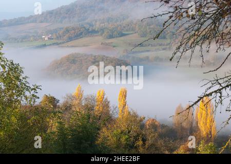 Wunderschöne Landschaft. Felder und Wald mit Nebel im Hintergrund. Navarra, Spanien, Europa Stockfoto