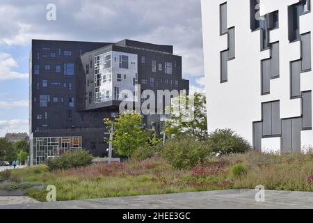 WU (Wirtschaftsuniversität Wien) Wirtschaftsuniversität Wien, Gebäude der Executive Academy in Wien Österreich. Stockfoto