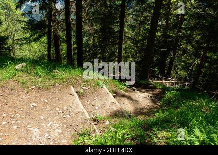 Dieses Landschaftsfoto wurde in Europa, in Frankreich, in den Alpen, in Richtung Chamonix, im Sommer aufgenommen. Auf einem Fernwanderweg können wir Holztreppen sehen Stockfoto