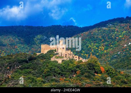 Das von Wald umgebene Schloss von Requesens, der Gipfel des Neulos Albera Massivs, Alt Emporda, Provinz Girona, Katalonien, Spanien. Wahrscheinlich seit dem 9th Stockfoto