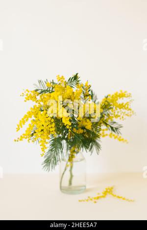 Ein Bouquet aus gelben Mimosen blüht in einer Glasvase. Das Konzept des Frühlings der Frau oder des Muttertages. Grußkarte mit Kopierplatz Stockfoto