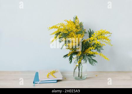 Mimosa zweigt in einer Glasvase auf dem Tisch, Tagebuch und Notizbuch, eine blaue Wand als Hintergrund Stockfoto