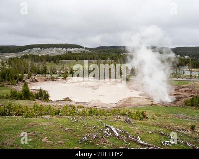 Schlammtopf im Schlammvulkangebiet des Yellowstone National Park, Wyoming. Stockfoto