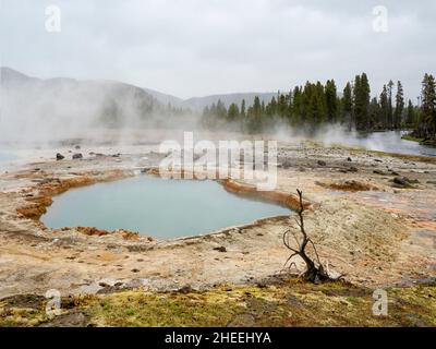 Geothermischer Schlammtopf im Biscuit Basin im Yellowstone National Park, Wyoming. Stockfoto