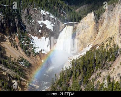 Die unteren Yellowstone Falls im Yellowstone River, Yellowstone National Park, Wyoming, USA. Stockfoto