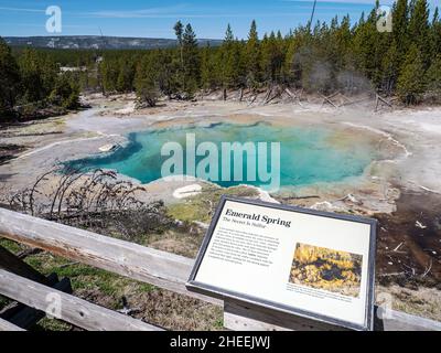 Emerald Spring im Norris Geyser Basin, Yellowstone National Park, Wyoming, USA. Stockfoto