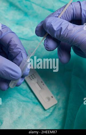 Anonymer Arzt mit medizinischen Handschuhen, der den Tupfer in das Extraktionsröhrchen mit Flüssigkeit für einen Coronavirus-Test in der Klinik einsetzte Stockfoto